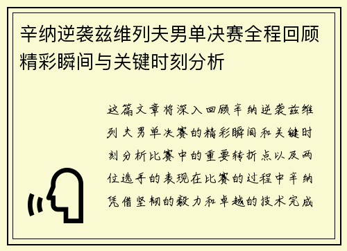 辛纳逆袭兹维列夫男单决赛全程回顾精彩瞬间与关键时刻分析