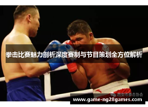 拳击比赛魅力剖析深度赛制与节目策划全方位解析