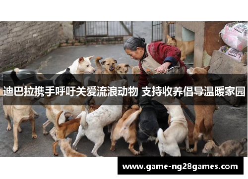 迪巴拉携手呼吁关爱流浪动物 支持收养倡导温暖家园